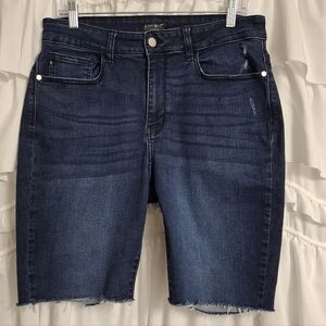 Judy Blue Dark Blue Jean Shorts
